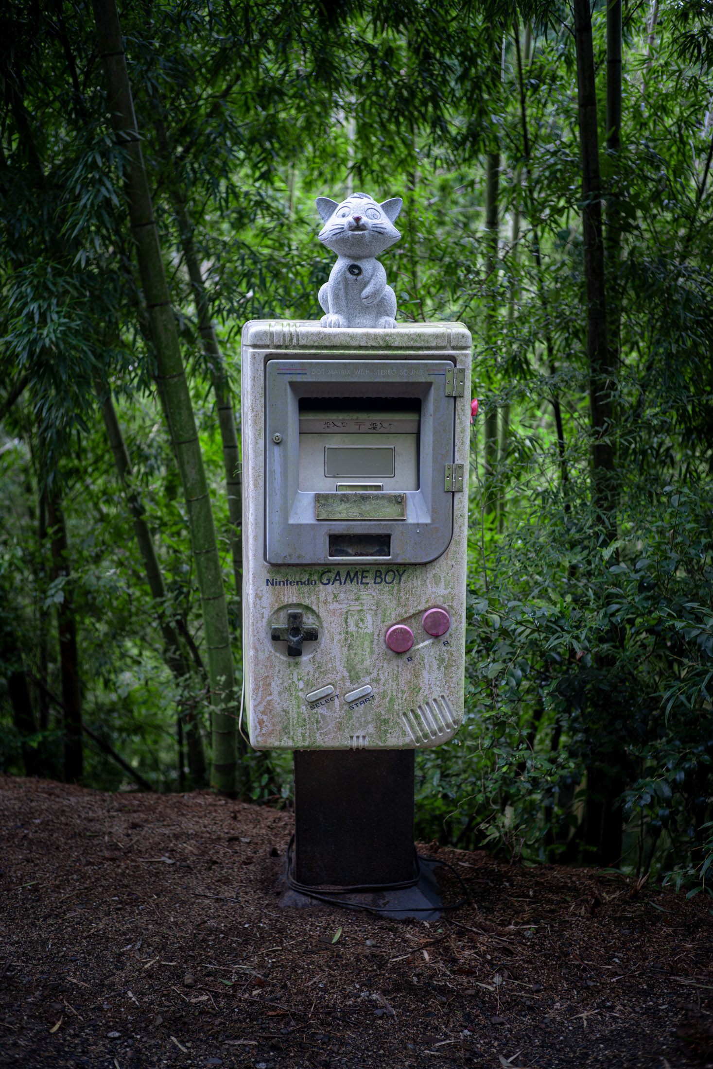 Letterbox
