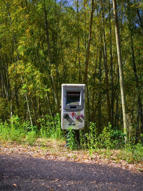 Nintendo Game Boy-themed mailbox beside a forest road with bamboo trees in sunlight.