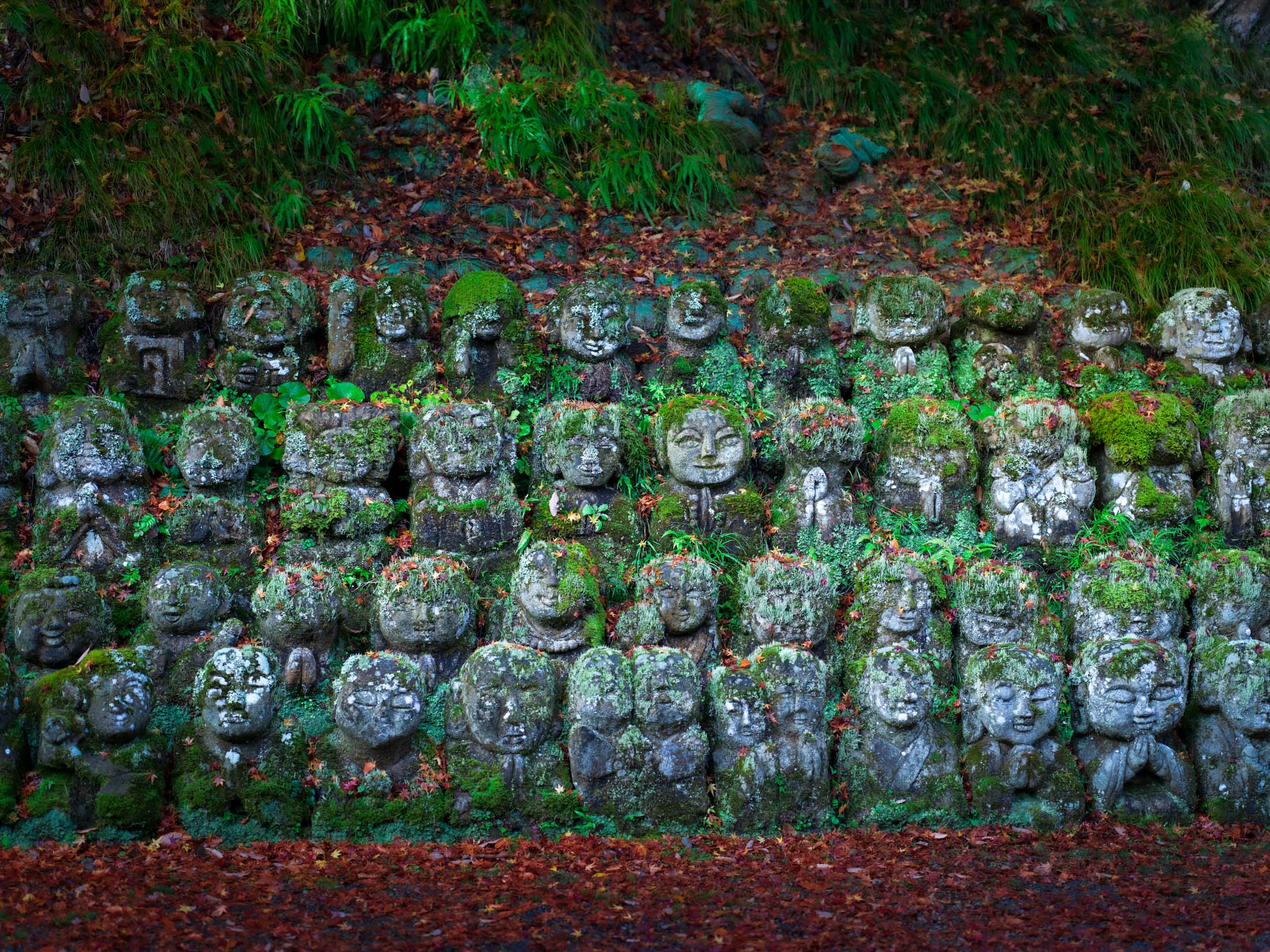 Japon Secret