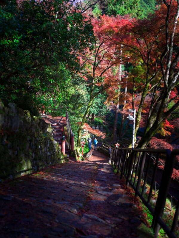 Autumn maple-lined stone steps at Otagi Nenbutsu-ji Temple, Kyoto