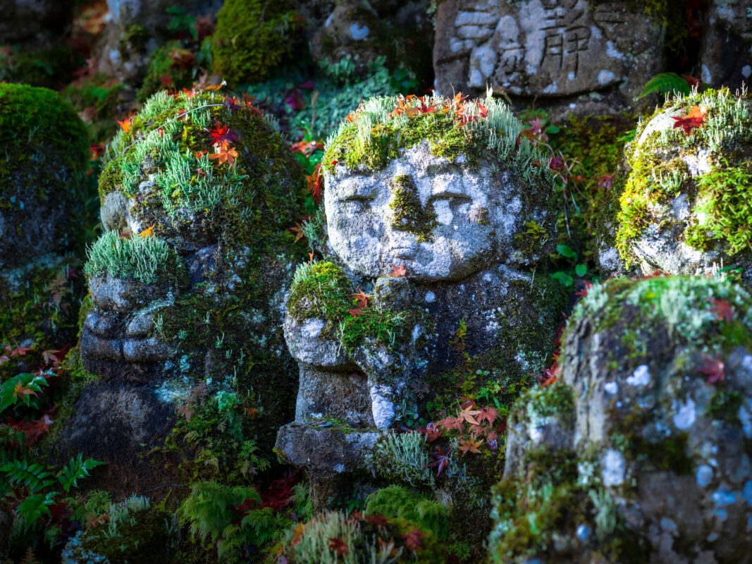 Moss-covered stone Buddha statues at Otagi Nenbutsu-ji Temple in Kyoto, Japan