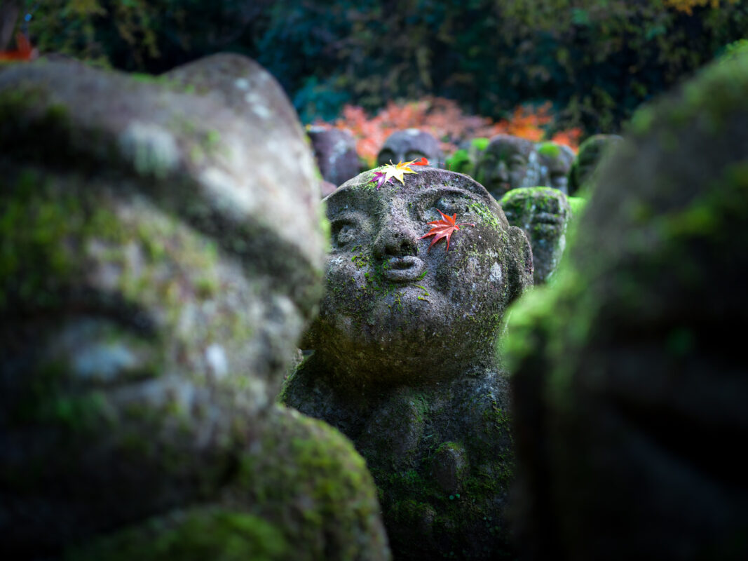 Moss-covered rakan statue with red maple leaf at Otagi Nenbutsu-ji, Kyoto