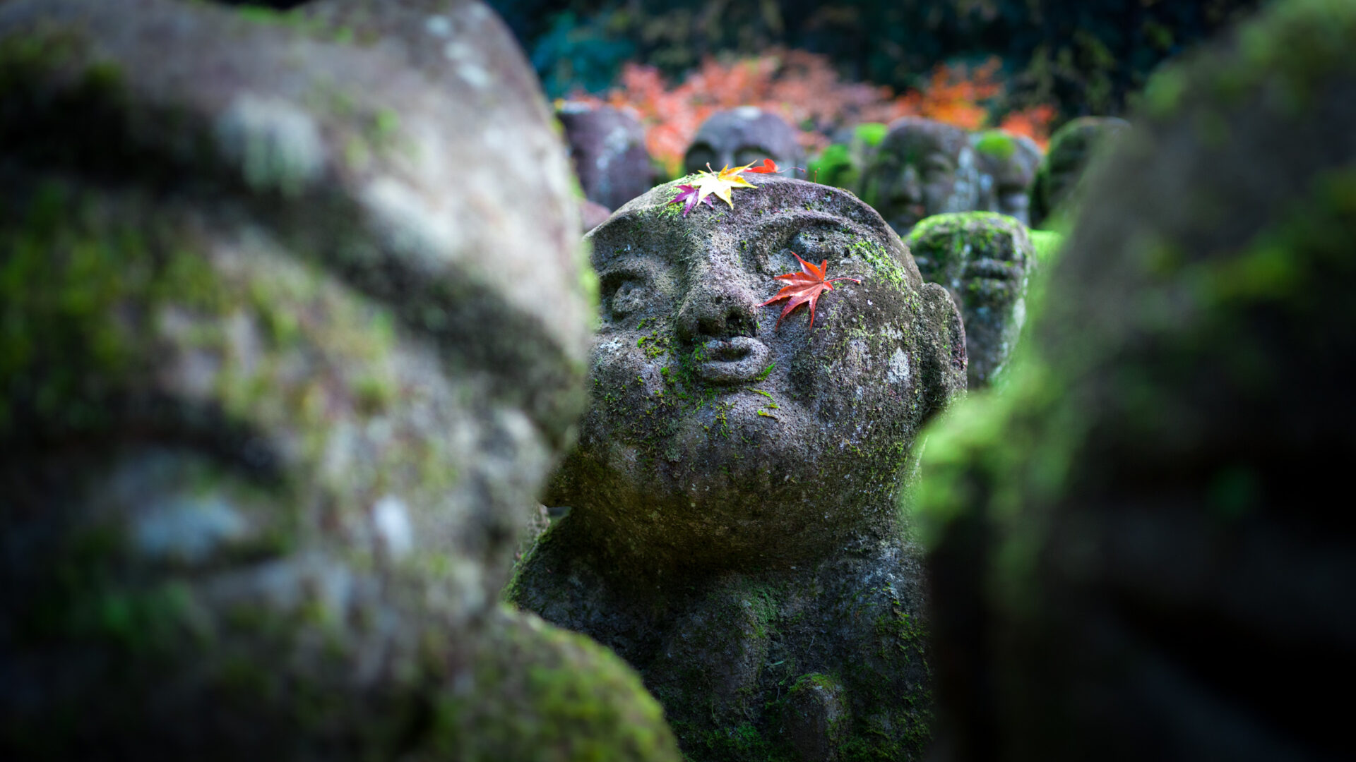 Moss-covered rakan statue with red maple leaf at Otagi Nenbutsu-ji, Kyoto
