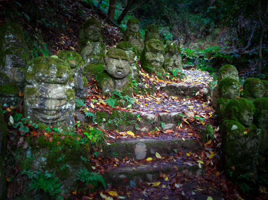 Mossy stone stairs at Otagi Nenbutsu-ji Kyoto lined with Buddhist statues in forest.