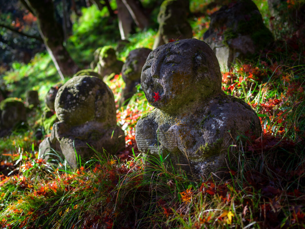 Moss-covered stone statues at Otagi Nenbutsu-ji Temple in Kyoto forest during autumn.