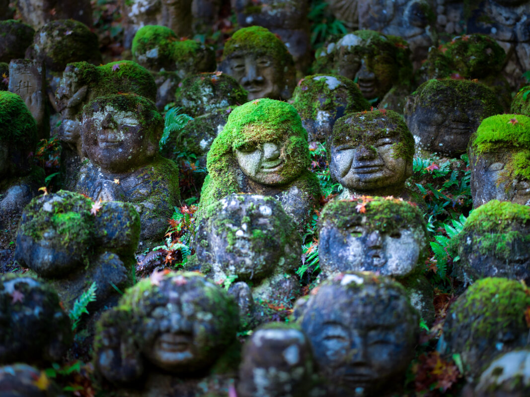 Moss-covered Rakan stone statues at Otagi Nenbutsu-ji Temple in Kyoto, Japan