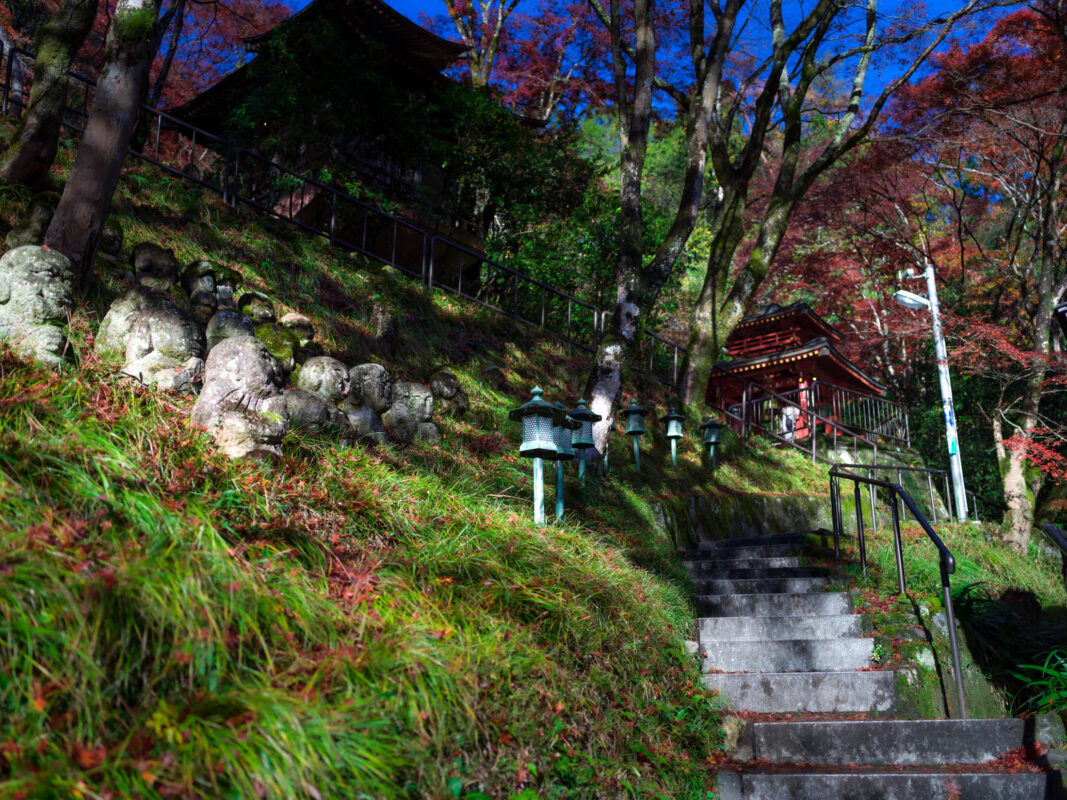 Stone steps at Otagi Nenbutsu-ji Kyoto, lined with mossy Buddhist statues and autumn trees.