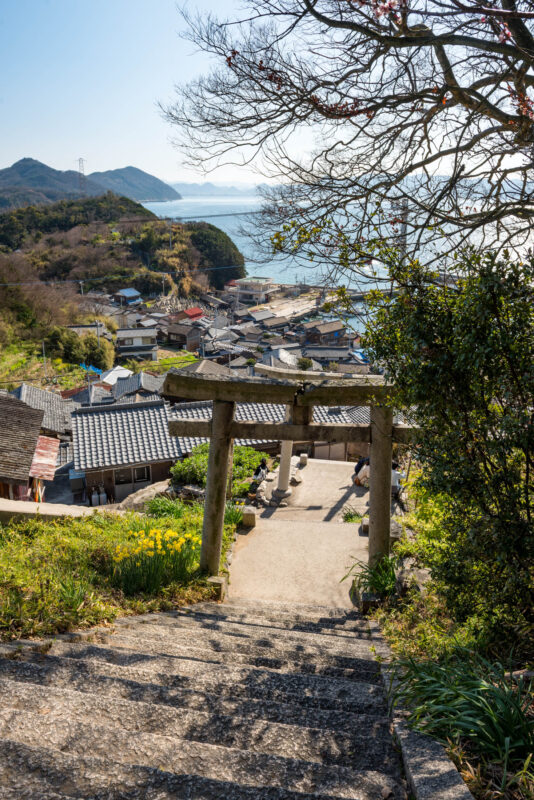 Ogijima