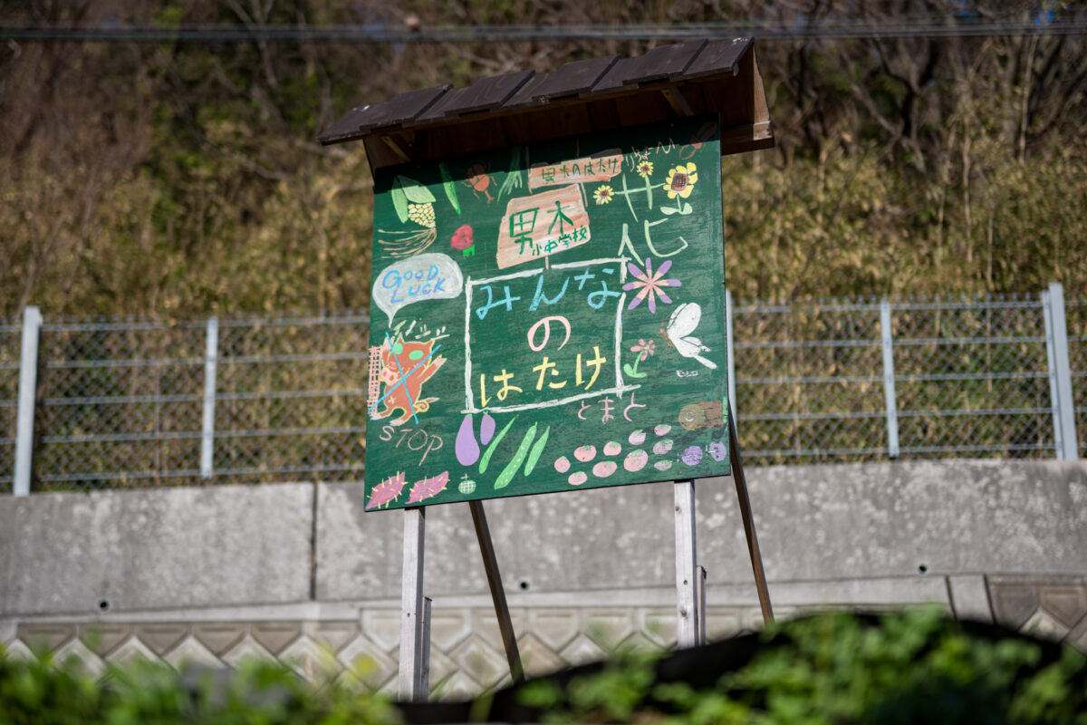 Ogijima