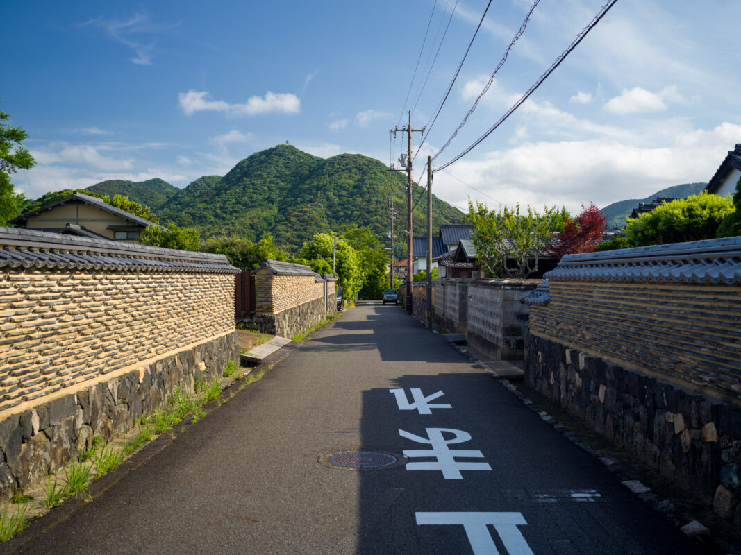 Hagi