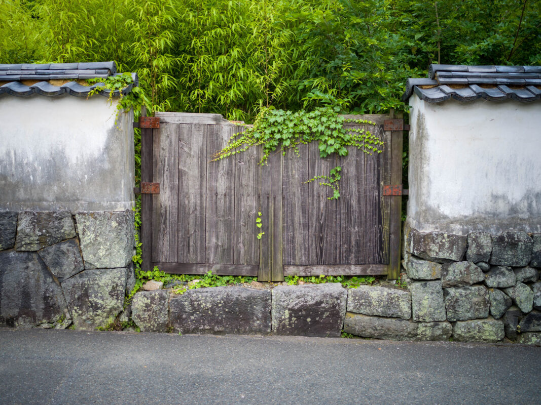 Hagi