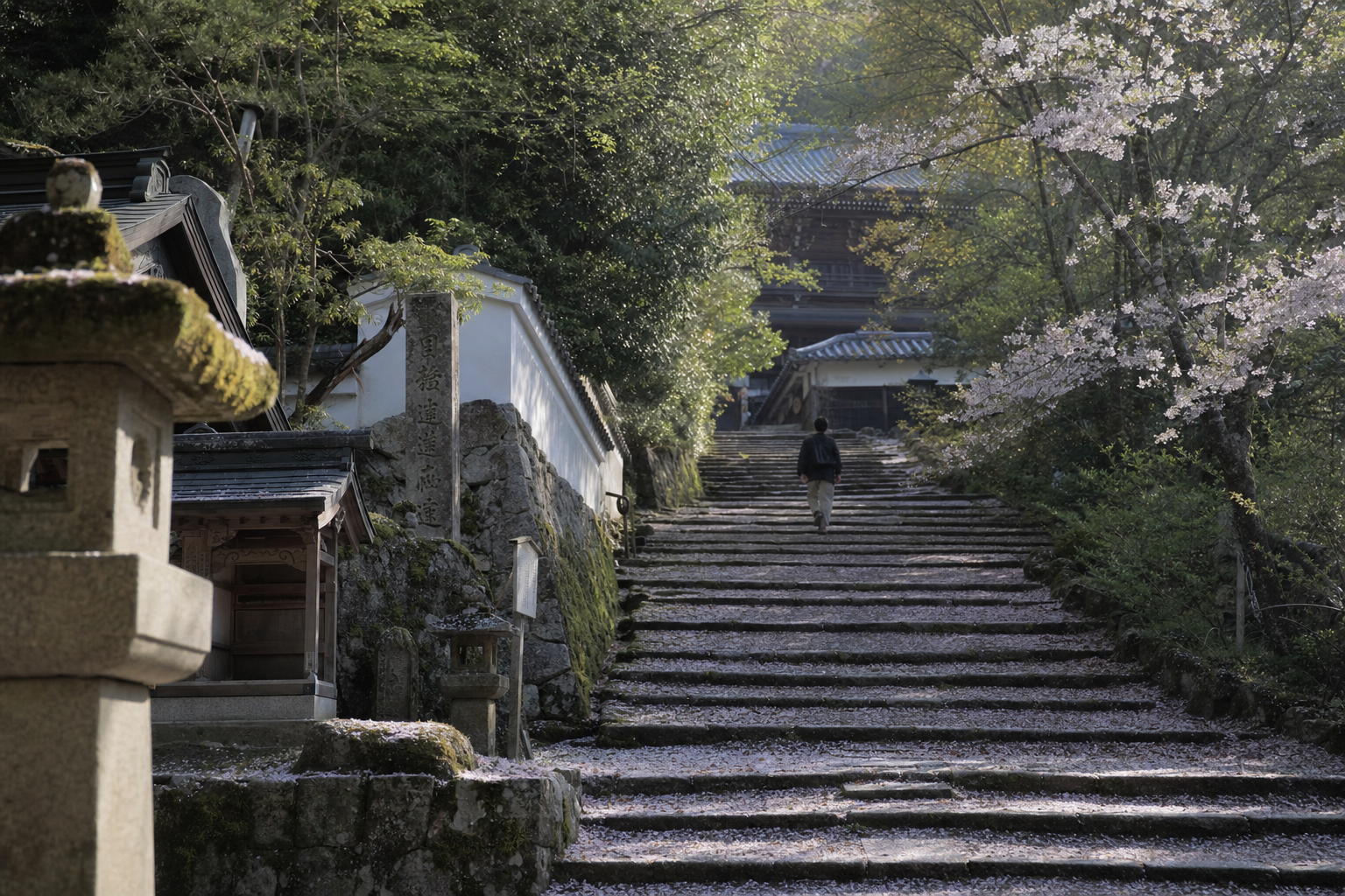 Golden Week au Japon : Faut-il Vraiment y Aller ?