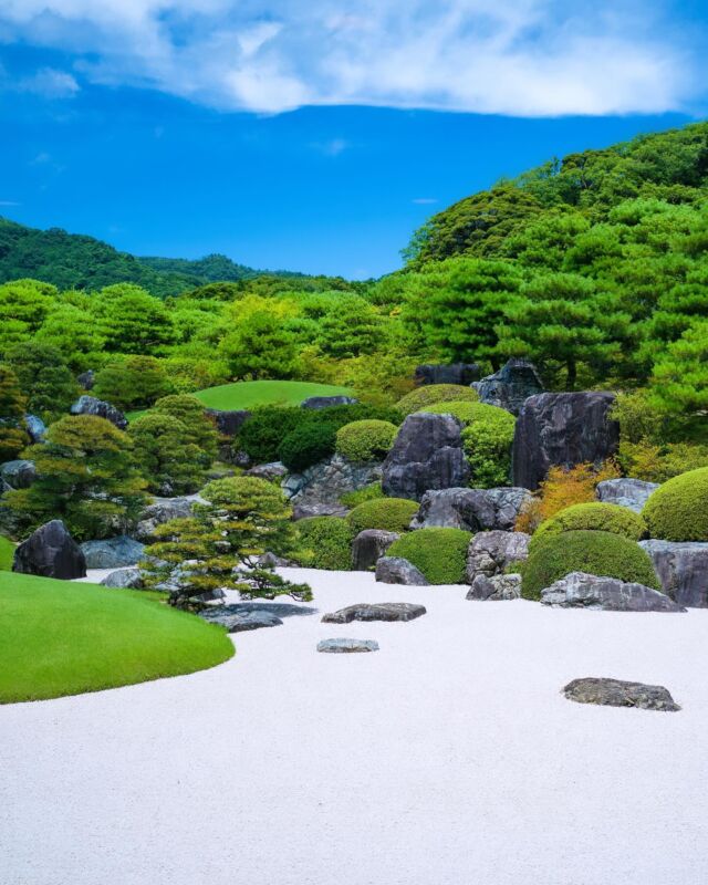 Avant de découvrir des horizons plus colorés, voici la dernière escale verdoyante de l’année 🍃 Le sublime jardin du musée Adachi !