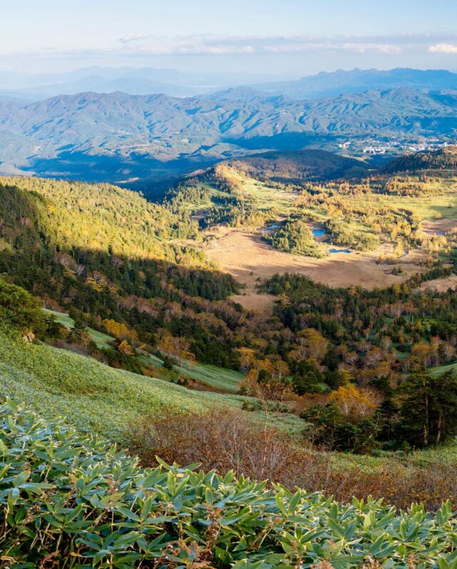 À Tokyo, on se doute encore de rien. Mais dès les premiers jours d’Octobre, l’automne se jette férocement sur les plus hautes montagnes, volcans et les plaines.