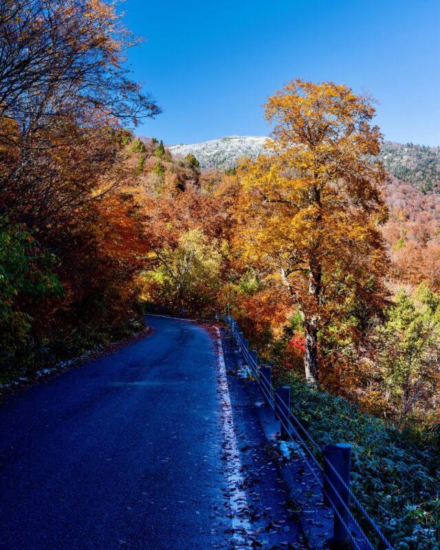 Mais quel kiff de conduire sur ces petites routes de montagne, entre la neige et les dernières feuilles d’automne, et surtout sous un grand ciel bleu 😍