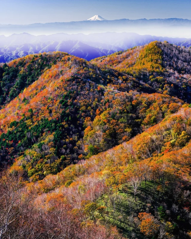 J’ai l’impression de voir le Mont Fuji sans arrêts ces jours-ci 😆 Cette superbe vue, c’est depuis Nikko ! Le Mont Fuji est à, donc, au moins… 200 kilomètres ! 😳