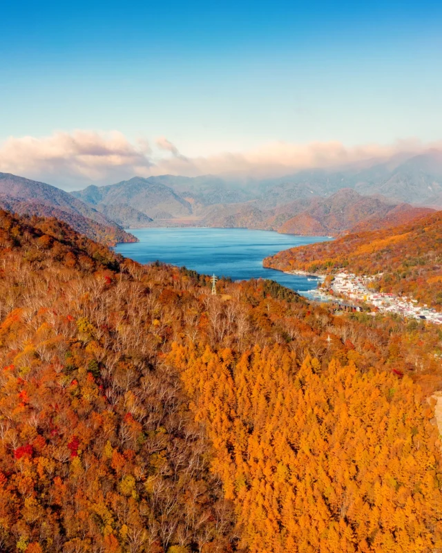 Le Lac de Chuzenji à Nikko ! Quand les oranges sont au plus mûr 😘🍊