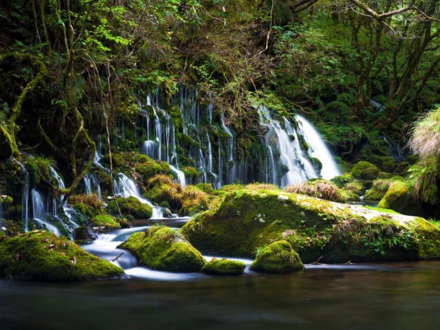 Nature's magic in Japan 🇯🇵: A dreamy, moss-covered waterfall flows like silk, creating a peaceful, mystical scene. 🌿✨ Capturing the harmony of Japanese landscapes.---日本の自然の魔法 🇯🇵: 夢のような苔むした滝が絹のように流れ、平和で神秘的な光景を作り出します。🌿✨ 日本の風景の調和を捉えました。---#MossyWaterfall #NatureLovers #SereneEscape #JapaneseAesthetics #offbeatjapan #japan #JapanLandscape