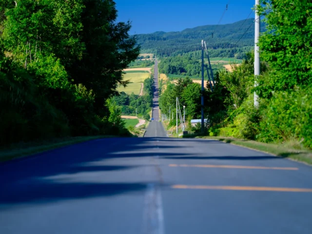 Discover the beauty of Japan's countryside where ancient traditions meet modern life. The vibrant fields and serene landscapes remind us of nature's harmony and human artistry.日本の田舎の美しさを発見しましょう。伝統と現代が出会う場所です。鮮やかな田んぼと静かな景色が、自然の調和と人の技を思い出させてくれます。#RuralEscape #NatureAndCulture #ScenicJapan #JapaneseCountryside #offbeatjapan #japan #HiddenGemsJapan