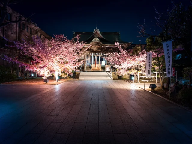 Cherry blooms aglow, Soft lights dance on temple steps, Night whispers of grace. 桜は光り、 寺の階段で踊る灯、 夜の優雅。 #offbeatjapan #sakura #templenight #japan #cherryblossoms #serenenight #japanesearchitecture