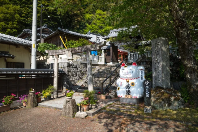 Emerald whispers, A beckoning cat stands proud— Luck's silent promise. エメラルドのささやき、 招き猫は誇りに立つ— 静かな約束。 #manekineko #japantravel #shrine #instatravel #mysticalplaces #offbeatjapan #japan