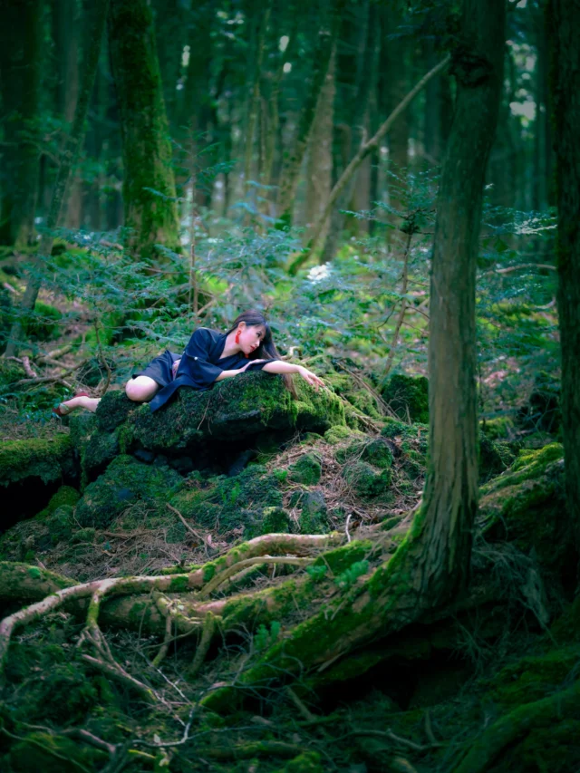 Emerald whispers, Mossy roots cradle a dream— Nature's quiet breath. 翡翠の囁き 苔むした根が夢を抱く 自然の静かな息吹 #MountFuji #Yakushima #forestbathing #mossforest #tranquiljapan #offbeatjapan #japan