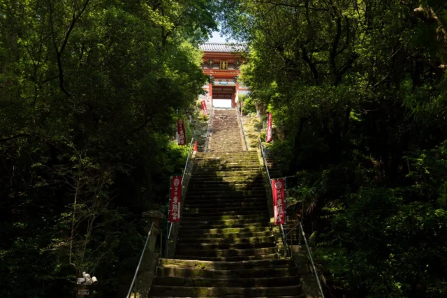 Red banners whisper, Mossy stones lead to the sky— Nature's quiet shrine.  赤い旗が囁き、 苔むした石段が空へ誘う— 自然の静かな神社。 #offbeatjapan #japan #torii #shrinesofjapan #nature #serenity #japaneseforest