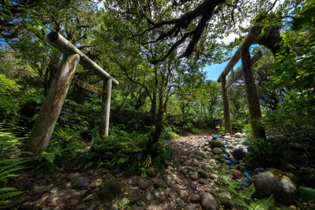 Torii gates stand tall, Whispered tales in dappled light, Painted stones speak life. 鳥居そびえ 語りかける木漏れ日 彩る石たち#offbeatjapan #japan #torii #naturewalk #shinto #hiddenjapan #exploremore